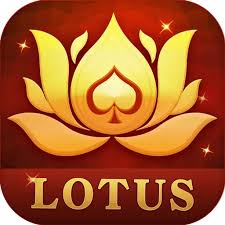 jjbet rummy download